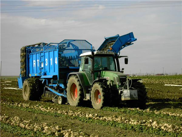 西班牙馬賽甜菜揀拾機(jī)裝車(chē)機(jī)
